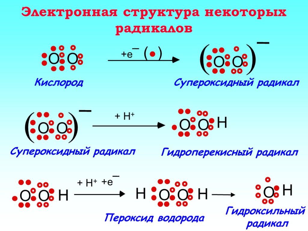 Электронная структура некоторых радикалов Гидроперекисный радикал Кислород Супероксидный радикал +e¯ ( ) Пероксид водорода